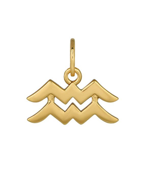 Aquarius Zodiac Charm - Sample