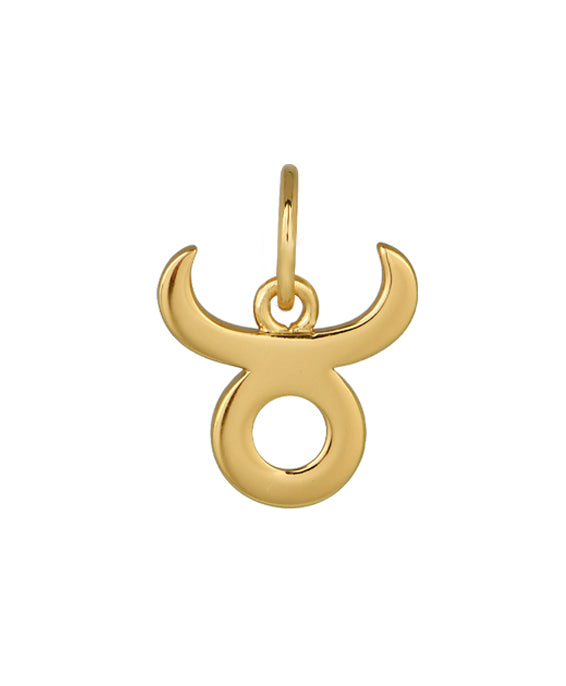 Taurus Zodiac Charm - Sample